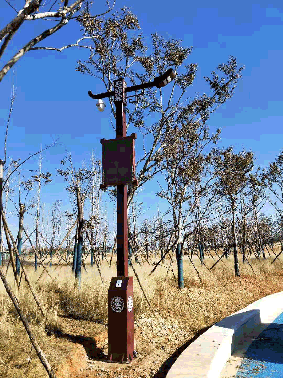 云南智慧路燈項目現場案例實拍圖